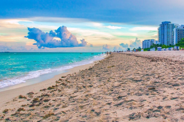 留学アカデミアアメリカ合衆国マイアミ