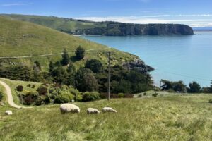 留学アカデミア海外留学と英語学習の夢を応援する留学情報サイト行先ニュージーランド