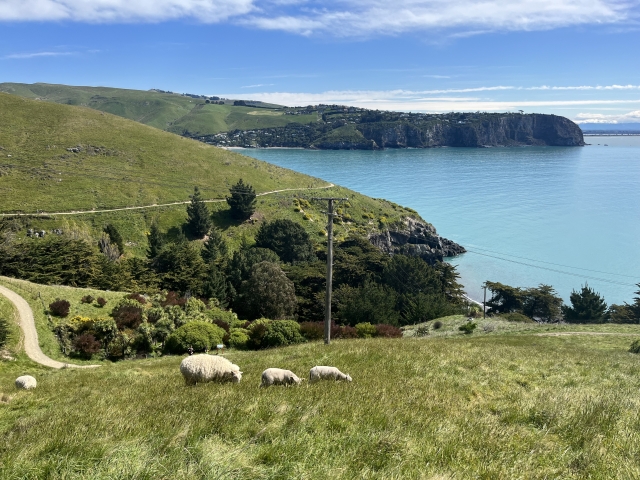 留学アカデミア海外留学と英語学習の夢を応援する留学情報サイト行先ニュージーランド