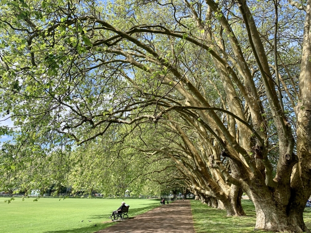 留学アカデミア海外留学と英語学習の夢を応援する留学情報サイト行先ニュージーランド